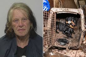 The next time you're planning out a menu, consider adding one of her popular dishes to your weeknight rotation. Ex Wife Of Mlk Assassin Charged With Animal Cruelty In Tn