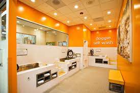 You can wash your dog yourself from just rm20 in a safe, relaxed and friendly environment. Petco Self Serve Dog Wash Stations Petco