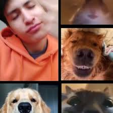 Max Nuñez (Maxisauriorex)