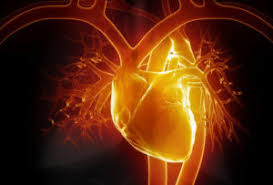 Qul inkuntum tuhibunallah fatabiuni yuhbibkumullah. Illuminate The Eternal Light Within The Heart Not The Brain Sufi Masters Of The 21st Century