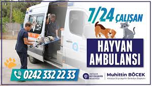 Antalya Buyuksehir Belediyesi Antalya Buyuksehir Belediyesi Hayvan Sagligi Ve Yetistiriciligi Sube Mudurlugu Ne Bagli Tam Donanimli Hayvan Ambulansi 7 24 Calisarak Yarali Ve Hasta Sokak Hayvanlarini Hayata Tutunduruyor Bize Ihtiyaci Olan Kucuk