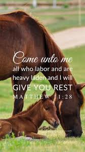 Matt bible was born circa 1964. Bible Matthew