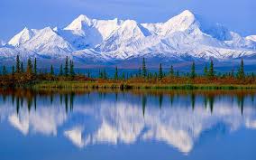 We've gathered more than 5 million images uploaded by our users and sorted them by the most popular ones. Free Wallpapers Free Nature Wallpapers Beautiful Nature Deskop Wallpapers Stunning Hd Wallpaper Wallpaperbetter