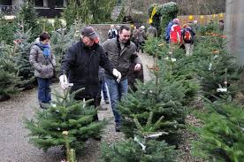 Weihnachtsbaum ᐅ finde aktuelle sonderangebote für weihnachtsbäume und christbäume in prospekten und geschäften aus deiner umgebung auf kaufda.de. Muller Mittelmuhle Adelberg