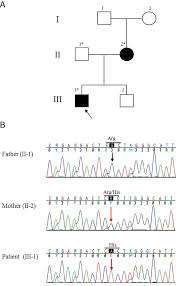 pedigree chart and results of sanger sequencing a