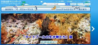アニメ ラブ マンガアニメ アニメのかわいいカップル かわいい 赤毛 プリンセス. 5utyho7nrfv 6m