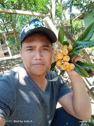 Loquat seedlings 2to3ft 1,000 1ft 500 Location baguio city Weshipnationwide 