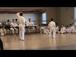 For white belts, black belts and all levels in between online companion video included graeme lund. Shotokan Karate White Belt Kata Mpg Youtube