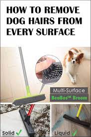 The best dog hair remover products are specifically designed to get rid of the shed hair around your home quickly and easily. How To Remove Dog Hairs From Every Surface Dog Hair Cleaning Pet Hair Removal Pet Hair Removal Furniture