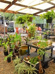 Aside from well known desert plants like agaves, opuntia cacti, golden barrel cacti, & aloes, we also sell many rare and critically endangered succulent plants from madagascar and socotra. Glendale Summerwinds Nursery Arizona