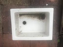 belfast sink bog garden bog gardens