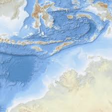 Image result for Eschenbachia