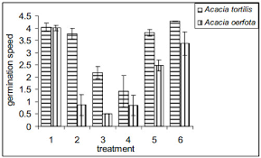 Image result for Acacia pilispina