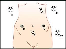 Palmer's point beach trail is a 0.2 mile moderately trafficked out and back trail located near trinidad, california that offers scenic views and is rated as moderate. Jaypeedigital Ebook Reader