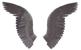 Black And White Wings Roblox Pin By Charudeal On P N G Black Wings Dark Angel Wings Wings Drawing