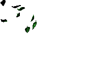 The best gifs of falling leaves on the gifer website. Leaves Falling Leaves Gif Leaves Fallingleaves Windy Discover Share Gifs