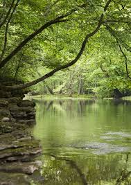 The park surrounds clifton gorge, a deep cut of the little miami. John Bryan State Park An Ohio State Park Located Near Bellbrook Dayton And Fairborn