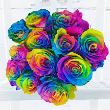 We did not find results for: Rainbow Roses Flower Delivery Uk