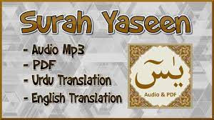 You can read surah yaseen pdf at hamariweb.com. Surah Yaseen Audio Mp3 And Pdf With Translation For Android Apk Download