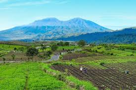 Seorang petani sedang memandang dengan memanggul cangkulnya duduk di atas gubuk kecilnya. Pemandangan Alam Pedesaan Greatnesia