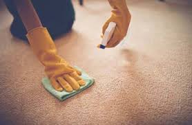 Your carpet is a major investment, and replacing carpet is very expensive. Carpet Cleaning Power San Mateo Green Carpet Rug Cleaning