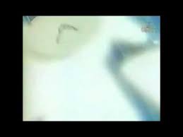 Echange De Tir Le Plus Dingue Olive Et Tom Tres Grande Sensation De Vitesse Totale Captain Tsubasa Youtube