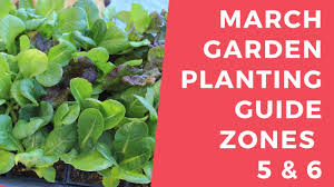The plant hardiness zone map is the standard by which gardeners can determine which plants are most likely to thrive at a given location. March Planting Guide Zones 5 6 What You Should Plant In Your Garden In March Youtube
