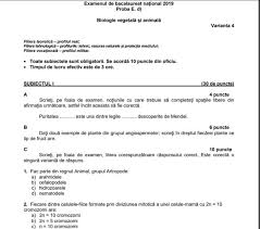 Subiecte Biologie Bac 2019 Edu Ro Subiecte și Bareme Ce A Picat Foto Antena 1