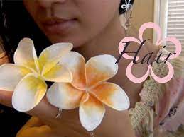 Pin On Flowers