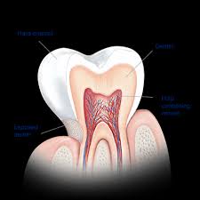 When it comes to oral health, your teeth shouldn't be your only focus. Causes Of Teeth Sensitivity Sensodyne