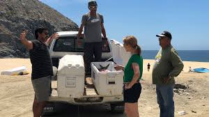 Maybe you would like to learn more about one of these? Episode 703 Ensenada S Epic Seafood Pati Jinich