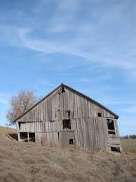Between The Highway Of Pullman Wa And Moscow Id Is A Landmark That Is Known By All The Locals This Barn And Other Farm Buildi Old Barns Farm Buildings Barn