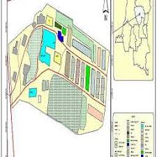 Image result for Leptonychia tokana