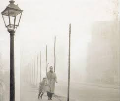 L Ombra Del Vento Di Carlos Ruiz Zafon Un Atto D Amore Ai Libri Il Chaos