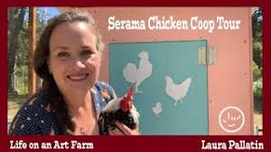 $20.00 each or a trio $50.00. Where To Buy Serama Chickens Online Yard Blogger