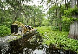 There are four ways to contact the louisiana department of education: Louisiana Usa Geschichtstrachtig Traditionsreich Karibisch Europaisch