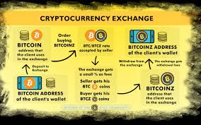 From what people generally consider to be most respected to not recommended. Apa Itu Cryptocurrency Exchange Selamat Datang Di Bitcoinz