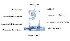 From flaxseed to bitter greens, there seems to be an endless supply of superfood powders that promise to fight disease and help your body perform its best. 8 Benefits Of Drinking Water How Much To Drink Per Day Boost Metabolism Benefits Of Drinking Water Ways To Boost Metabolism