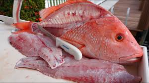 What does lane snapper taste like? Cleaning Big Red Snapper How To Fillet Youtube