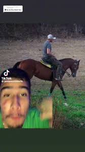 Haras Nossa Sra.da Gloria（@haras_nossasenhoradagloria）的Reels · 2023年6月29日