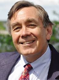 Rykerson tops Lemont in close District 151 race