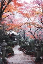 Hiroshima Japan The Kimono Gallery Bilder Japanischer Garten Natur