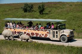 Перевод контекст the wilds c английский на русский от reverso context: Go On Safari In Ohio Take A Wilds Tour Plus Other Activities At The Wilds