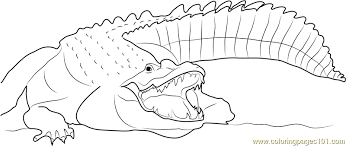 However, people often find these creatures intriguing even if an aura of danger is associated with them. Adult Nile Crocodile Coloring Page For Kids Free Crocodile Printable Coloring Pages Online For Kids Coloringpages101 Com Coloring Pages For Kids