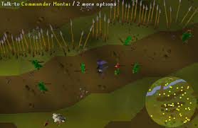 Talk to daero, found on the east side of the 1 st floor uk 2 nd floor us of the grand tree. Osrs Tree Gnome Village Runescape Guide Runehq