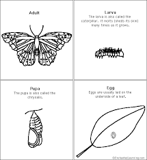 Maybe you would like to learn more about one of these? Painted Lady Butterfly Life Cycle Sequencing Cards Enchanted Learning Software