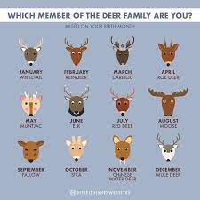 Have You Ever Wondered If I Were A Member Of The Deer Family Which Would I Be Or Is That Just Us Nndo You Agree W Deer Family Water Deer Whitetail Deer