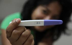 Abortivos Naturales Plantas A Evitar Durante El Embarazo Trucos Naturales