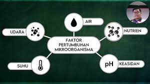 Faktor yang mengaruhi pertumbuhan mikroorganisma air suhu. Pdpr Sains Tahun 6 Faktor Pertumbuhan Kesan Buruk Mikroorganisma Youtube