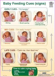 awesome how to take care of a newborn baby girl pdf new